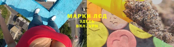 ECSTASY Кукмор