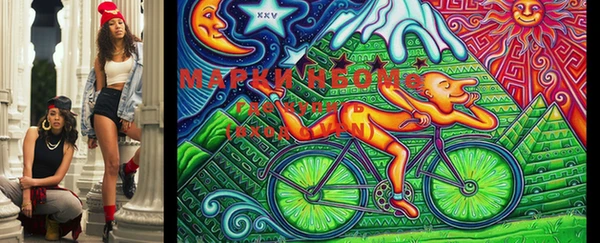 ECSTASY Кукмор