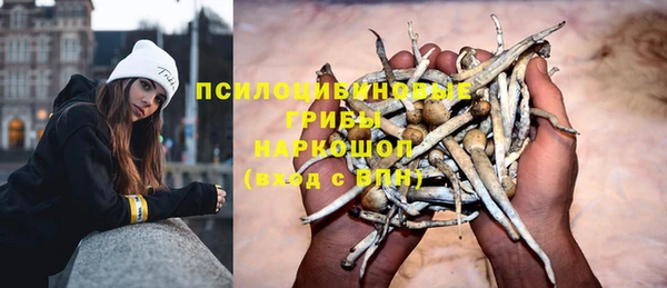 ECSTASY Кукмор